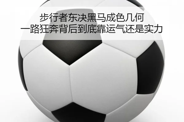 步行者东决黑马成色几何 一路狂奔背后到底靠运气还是实力